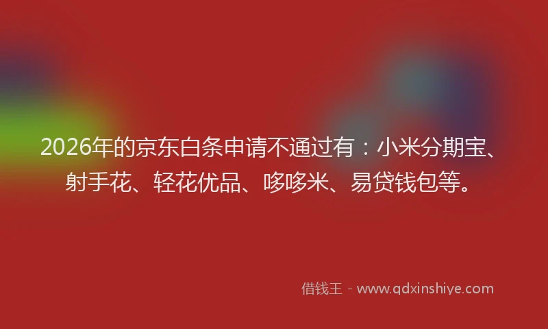 2026年的京东白条申请不通过有：小米分期宝、射手花、轻花优品、哆哆米、易贷钱包等。