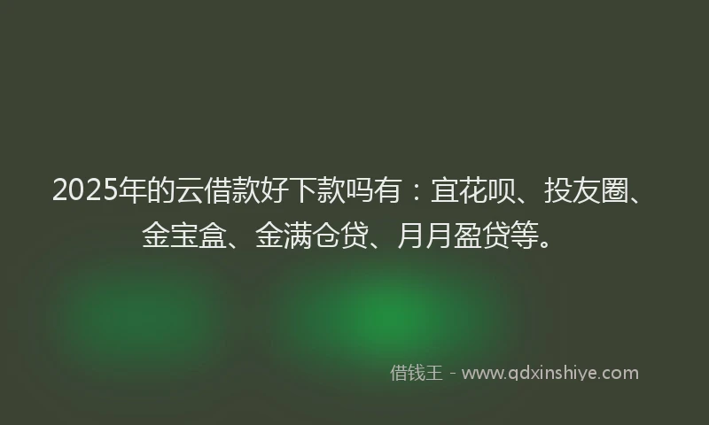 2025年的云借款好下款吗有：宜花呗、投友圈、金宝盒、金满仓贷、月月盈贷等。