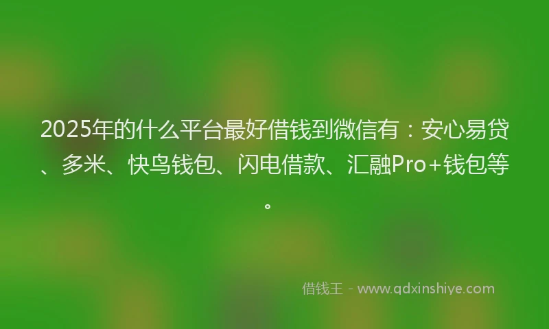 2025年的什么平台最好借钱到微信有:安心易贷、多米、快鸟钱包、闪电借款、汇融Pro+钱包等。