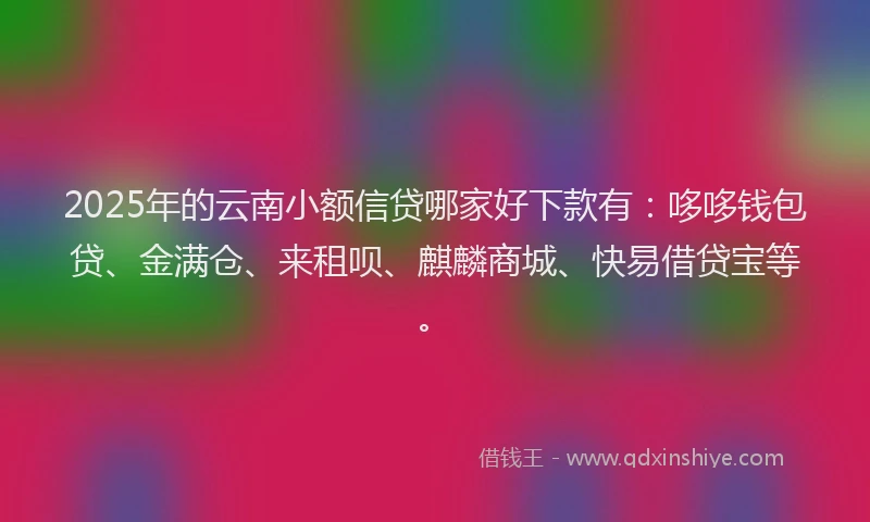 2025年的云南小额信贷哪家好下款有：哆哆钱包贷、金满仓、来租呗、麒麟商城、快易借贷宝等。