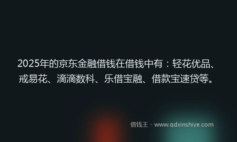 2025年的京东金融借钱在借钱中有：轻花优品、戒易花、滴滴数科、乐借宝融、借款宝速贷等。