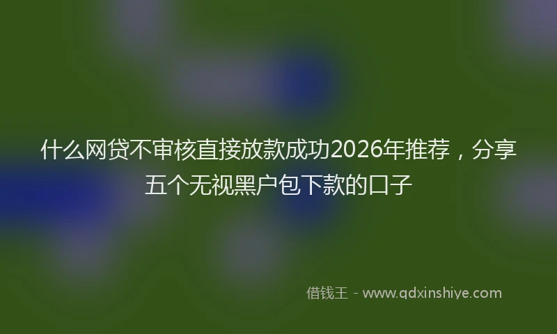 什么网贷不审核直接放款成功2026年推荐，分享五个无视黑户包下款的口子