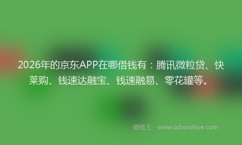 2026年的京东APP在哪借钱有：腾讯微粒贷、快莱购、钱速达融宝、钱速融易、零花罐等。