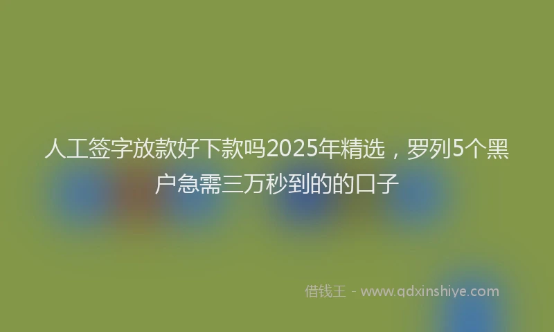 人工签字放款好下款吗2025年精选，罗列5个黑户急需三万秒到的的口子