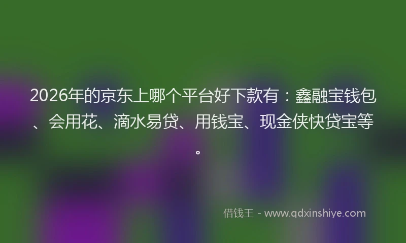 2026年的京东上哪个平台好下款有:鑫融宝钱包、会用花、滴水易贷、用钱宝、现金侠快贷宝等。