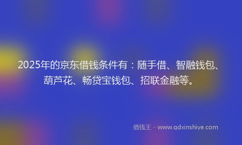 2025年的京东借钱条件有：随手借、智融钱包、葫芦花、畅贷宝钱包、招联金融等。