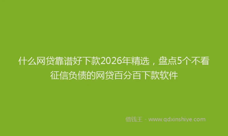 什么网贷靠谱好下款2026年精选，盘点5个不看征信负债的网贷百分百下款软件