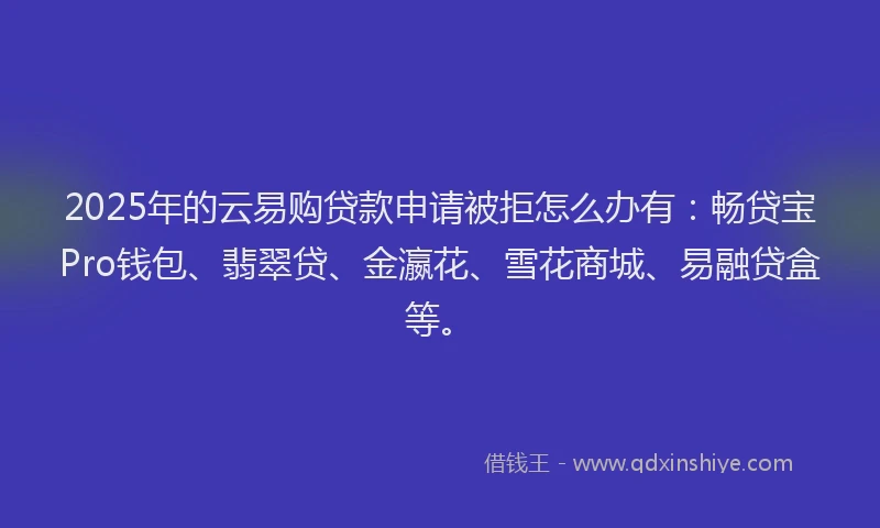 2025年的云易购贷款申请被拒怎么办有：畅贷宝Pro钱包、翡翠贷、金瀛花、雪花商城、易融贷盒等。