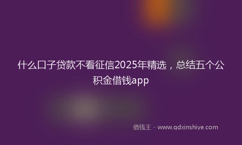 什么口子贷款不看征信2025年精选，总结五个公积金借钱app