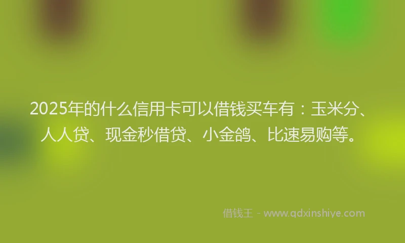 2025年的什么信用卡可以借钱买车有:玉米分、人人贷、现金秒借贷、小金鸽、比速易购等。