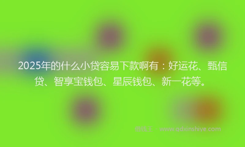 2025年的什么小贷容易下款啊有:好运花、甄信贷、智享宝钱包、星辰钱包、新一花等。