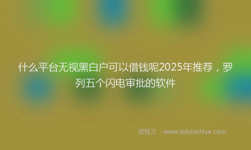 什么平台无视黑白户可以借钱呢2025年推荐，罗列五个闪电审批的软件