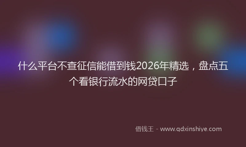 什么平台不查征信能借到钱2026年精选，盘点五个看银行流水的网贷口子