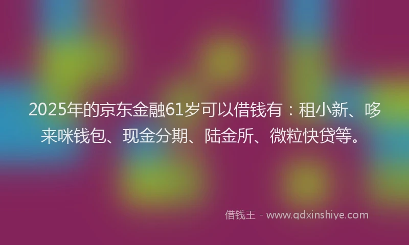 2025年的京东金融61岁可以借钱有:租小新、哆来咪钱包、现金分期、陆金所、微粒快贷等。