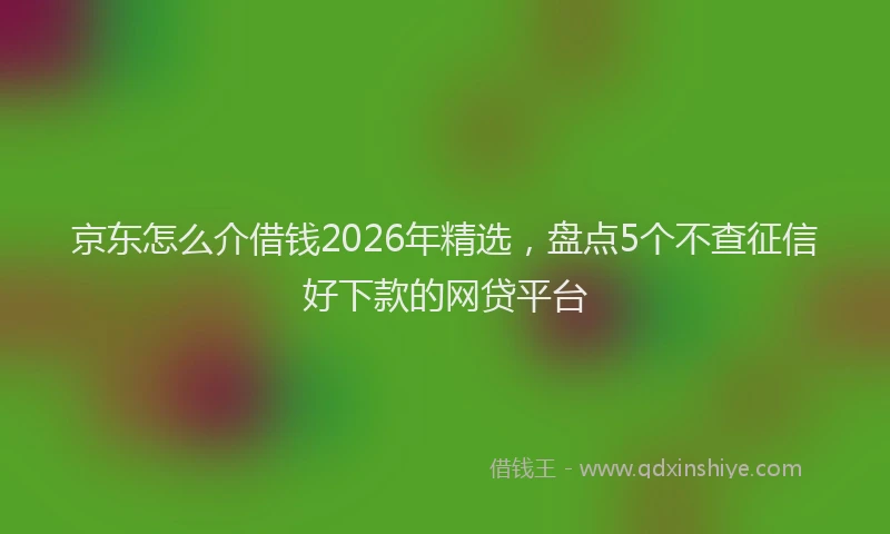 京东怎么介借钱2026年精选,盘点5个不查征信好下款的网贷平台