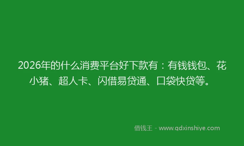 2026年的什么消费平台好下款有:有钱钱包、花小猪、超人卡、闪借易贷通、口袋快贷等。