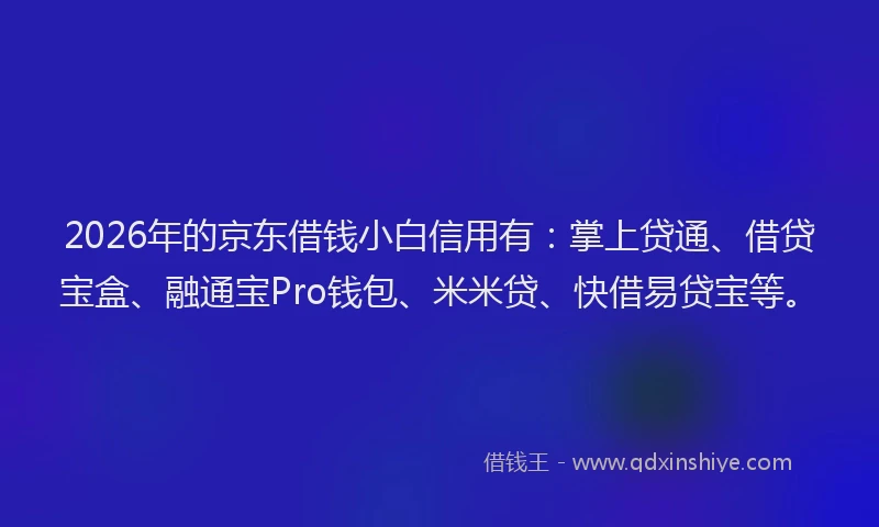 2026年的京东借钱小白信用有:掌上贷通、借贷宝盒、融通宝Pro钱包、米米贷、快借易贷宝等。