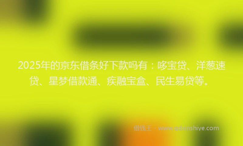 2025年的京东借条好下款吗有：哆宝贷、洋葱速贷、星梦借款通、疾融宝盒、民生易贷等。