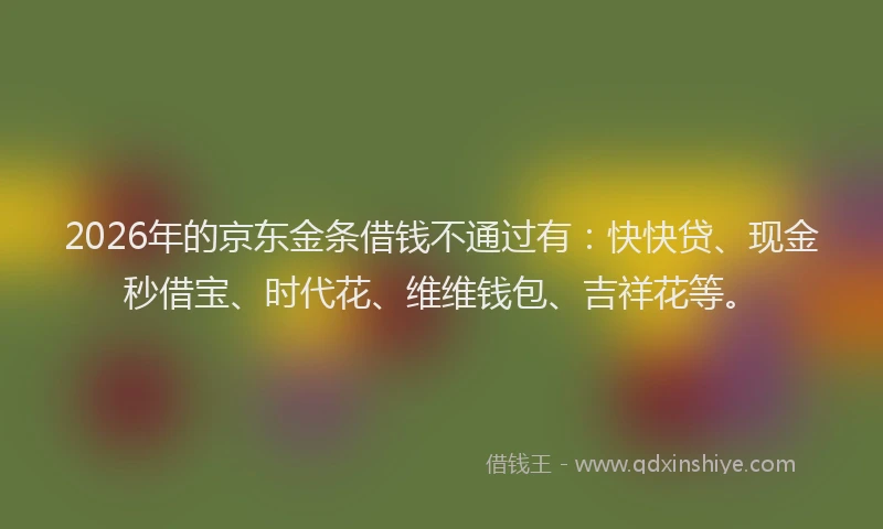 2026年的京东金条借钱不通过有：快快贷、现金秒借宝、时代花、维维钱包、吉祥花等。