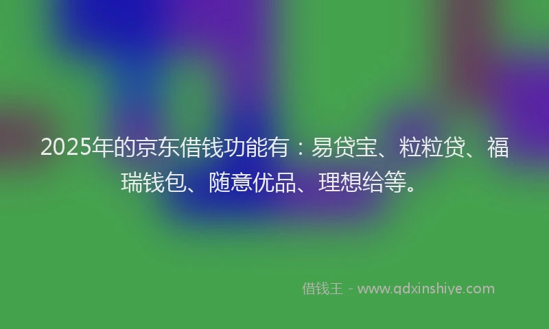 2025年的京东借钱功能有：易贷宝、粒粒贷、福瑞钱包、随意优品、理想给等。