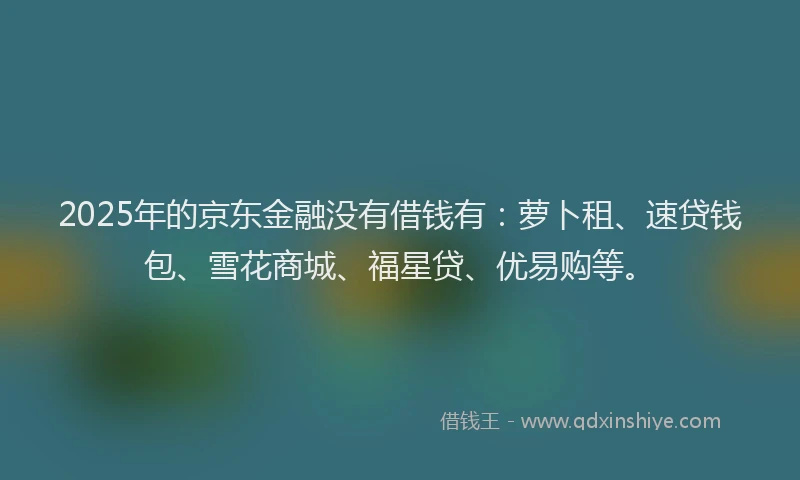 2025年的京东金融没有借钱有：萝卜租、速贷钱包、雪花商城、福星贷、优易购等。