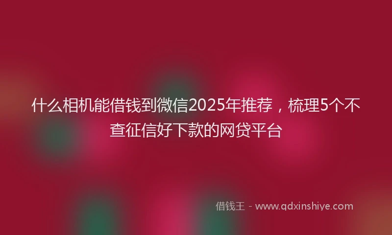 什么相机能借钱到微信2025年推荐,梳理5个不查征信好下款的网贷平台