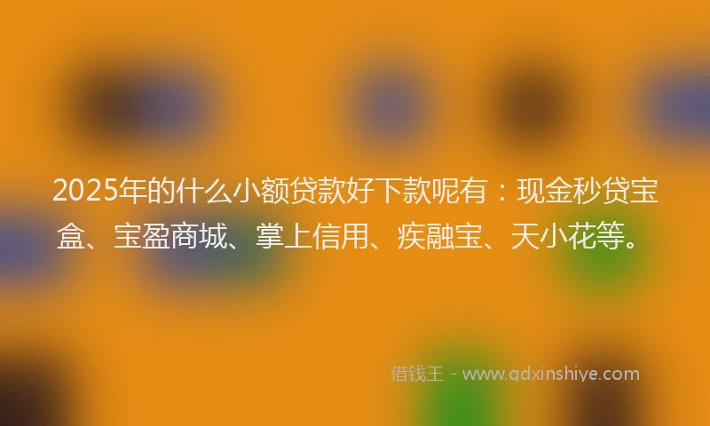 2025年的什么小额贷款好下款呢有：现金秒贷宝盒、宝盈商城、掌上信用、疾融宝、天小花等。