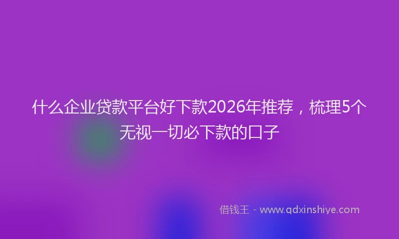 什么企业贷款平台好下款2026年推荐，梳理5个无视一切必下款的口子