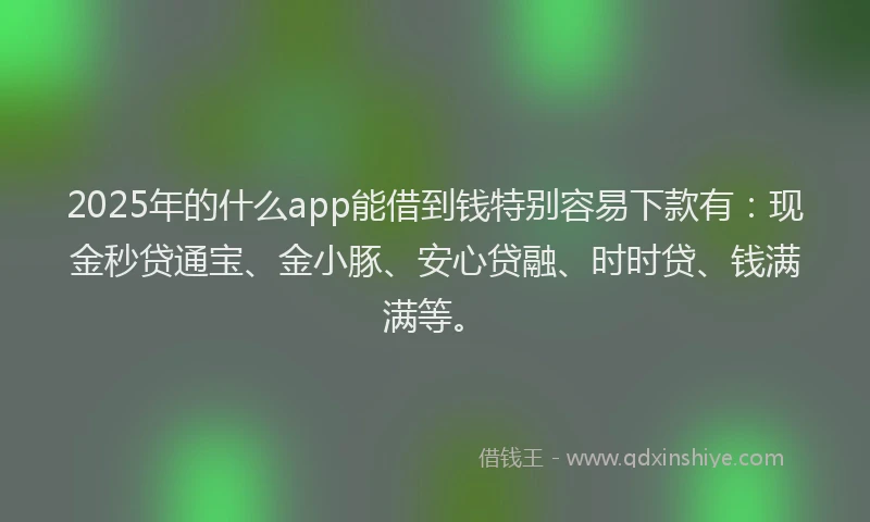 2025年的什么app能借到钱特别容易下款有:现金秒贷通宝、金小豚、安心贷融、时时贷、钱满满等。