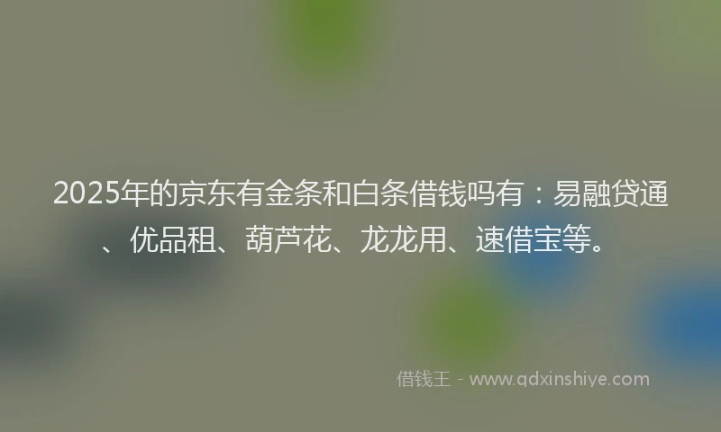2025年的京东有金条和白条借钱吗有：易融贷通、优品租、葫芦花、龙龙用、速借宝等。