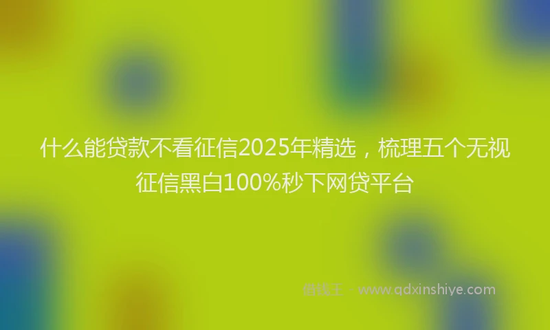 什么能贷款不看征信2025年精选，梳理五个无视征信黑白100%秒下网贷平台