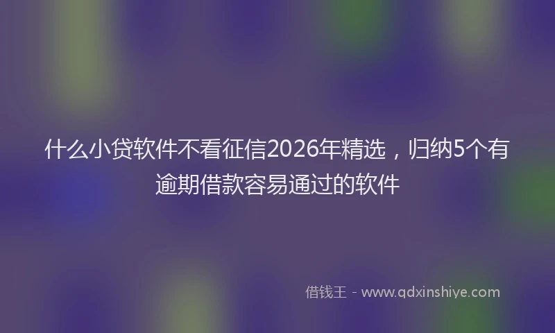 什么小贷软件不看征信2026年精选，归纳5个有逾期借款容易通过的软件