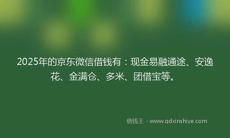 2025年的京东微信借钱有：现金易融通途、安逸花、金满仓、多米、团借宝等。