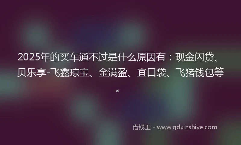2025年的买车通不过是什么原因有：现金闪贷、贝乐享-飞鑫琼宝、金满盈、宜口袋、飞猪钱包等。