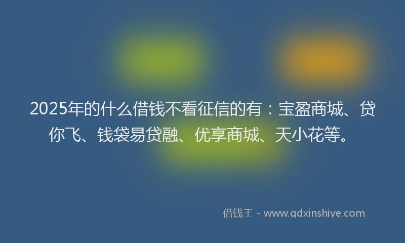 2025年的什么借钱不看征信的有：宝盈商城、贷你飞、钱袋易贷融、优享商城、天小花等。