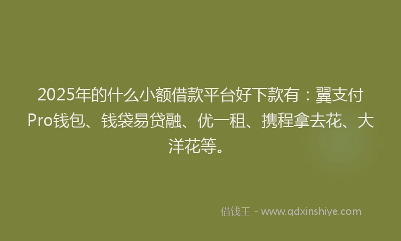 2025年的什么小额借款平台好下款有：翼支付Pro钱包、钱袋易贷融、优一租、携程拿去花、大洋花等。
