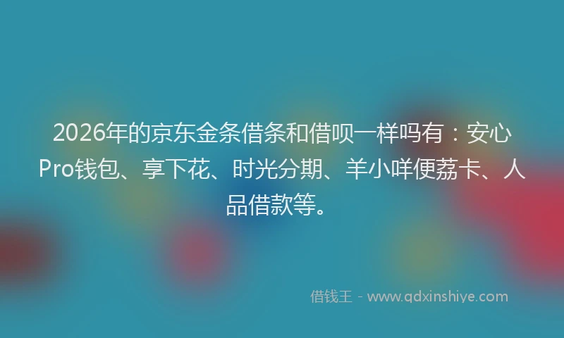 2026年的京东金条借条和借呗一样吗有：安心Pro钱包、享下花、时光分期、羊小咩便荔卡、人品借款等。