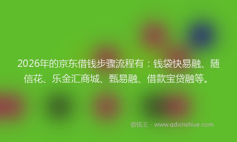 2026年的京东借钱步骤流程有：钱袋快易融、随信花、乐金汇商城、甄易融、借款宝贷融等。