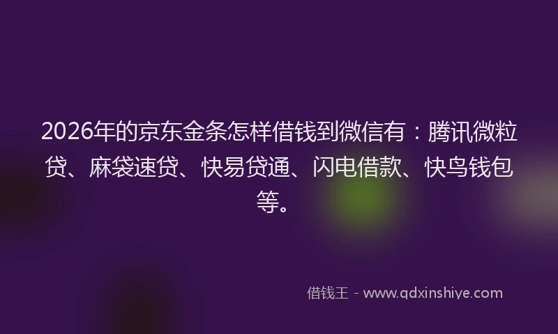 2026年的京东金条怎样借钱到微信有：腾讯微粒贷、麻袋速贷、快易贷通、闪电借款、快鸟钱包等。