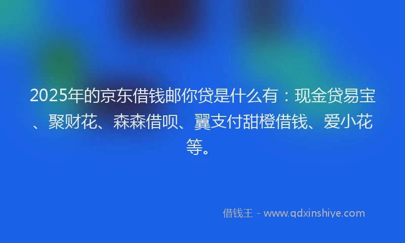 2025年的京东借钱邮你贷是什么有：现金贷易宝、聚财花、森森借呗、翼支付甜橙借钱、爱小花等。