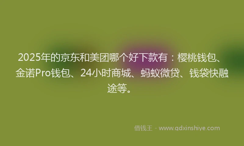 2025年的京东和美团哪个好下款有：樱桃钱包、金诺Pro钱包、24小时商城、蚂蚁微贷、钱袋快融途等。