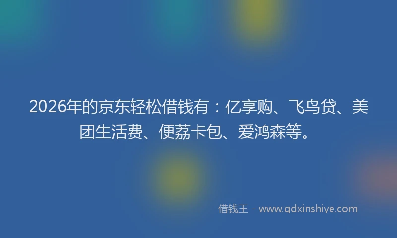 2026年的京东轻松借钱有：亿享购、飞鸟贷、美团生活费、便荔卡包、爱鸿森等。