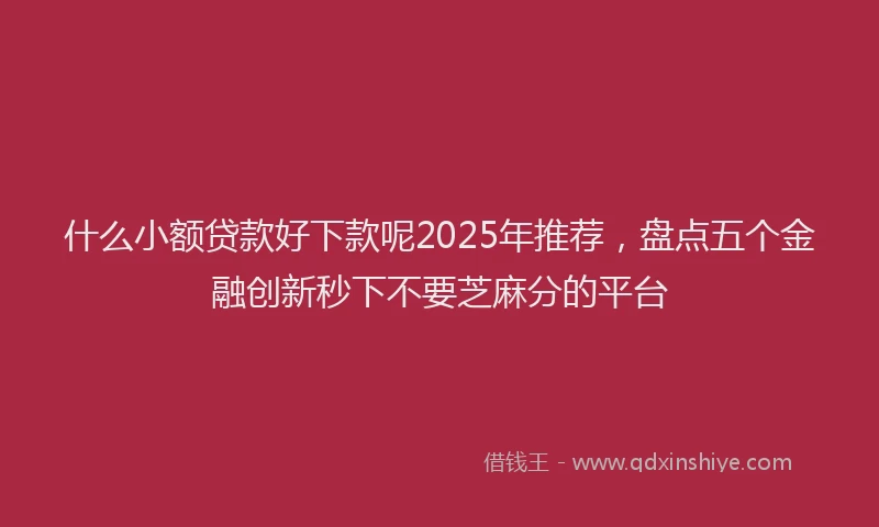 什么小额贷款好下款呢2025年推荐，盘点五个金融创新秒下不要芝麻分的平台