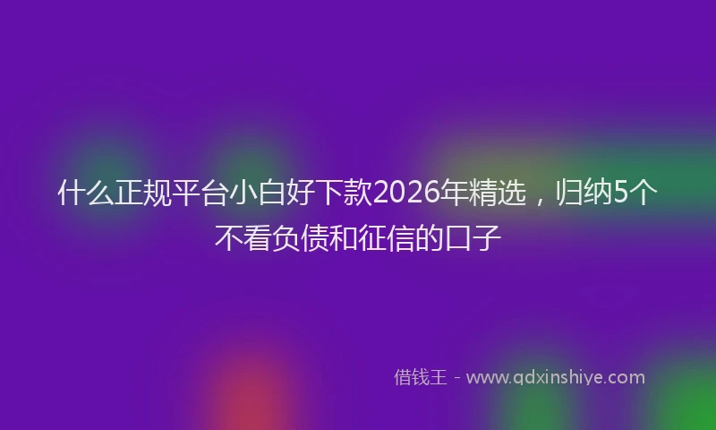 什么正规平台小白好下款2026年精选,归纳5个不看负债和征信的口子