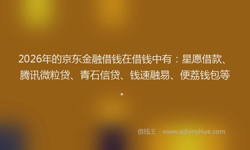 2026年的京东金融借钱在借钱中有:星愿借款、腾讯微粒贷、青石信贷、钱速融易、便荔钱包等。