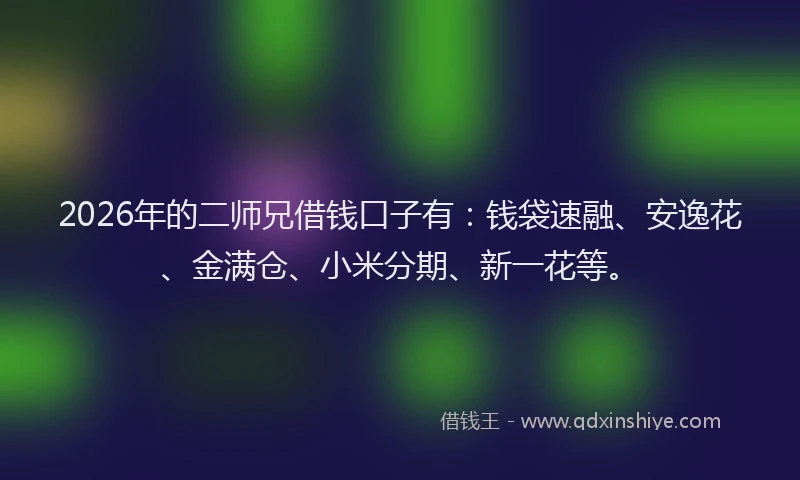 2026年的二师兄借钱口子有：钱袋速融、安逸花、金满仓、小米分期、新一花等。