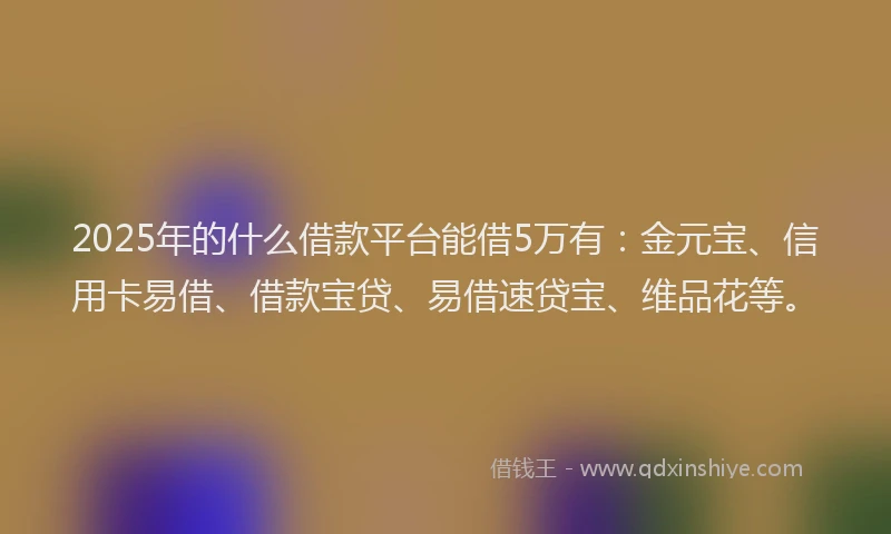 2025年的什么借款平台能借5万有：金元宝、信用卡易借、借款宝贷、易借速贷宝、维品花等。