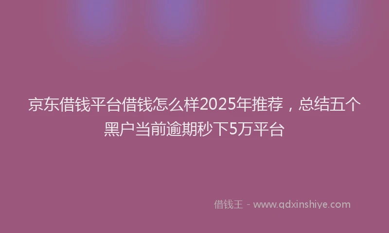 京东借钱平台借钱怎么样2025年推荐，总结五个黑户当前逾期秒下5万平台