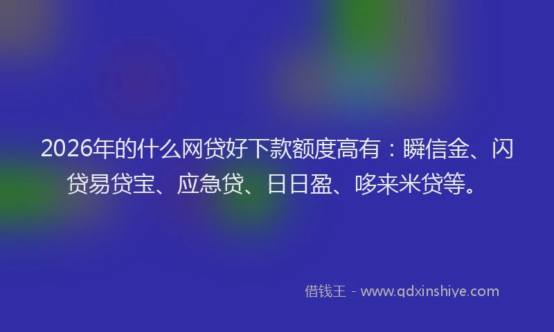 2026年的什么网贷好下款额度高有：瞬信金、闪贷易贷宝、应急贷、日日盈、哆来米贷等。