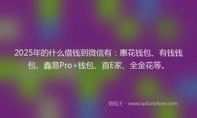 2025年的什么借钱到微信有：惠花钱包、有钱钱包、鑫易Pro+钱包、首E家、全金花等。